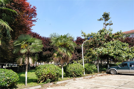 18层的楼房选几层较好