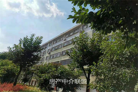 佛山中学附近利民大厦2室2厅1卫68万86m2简单装修出售